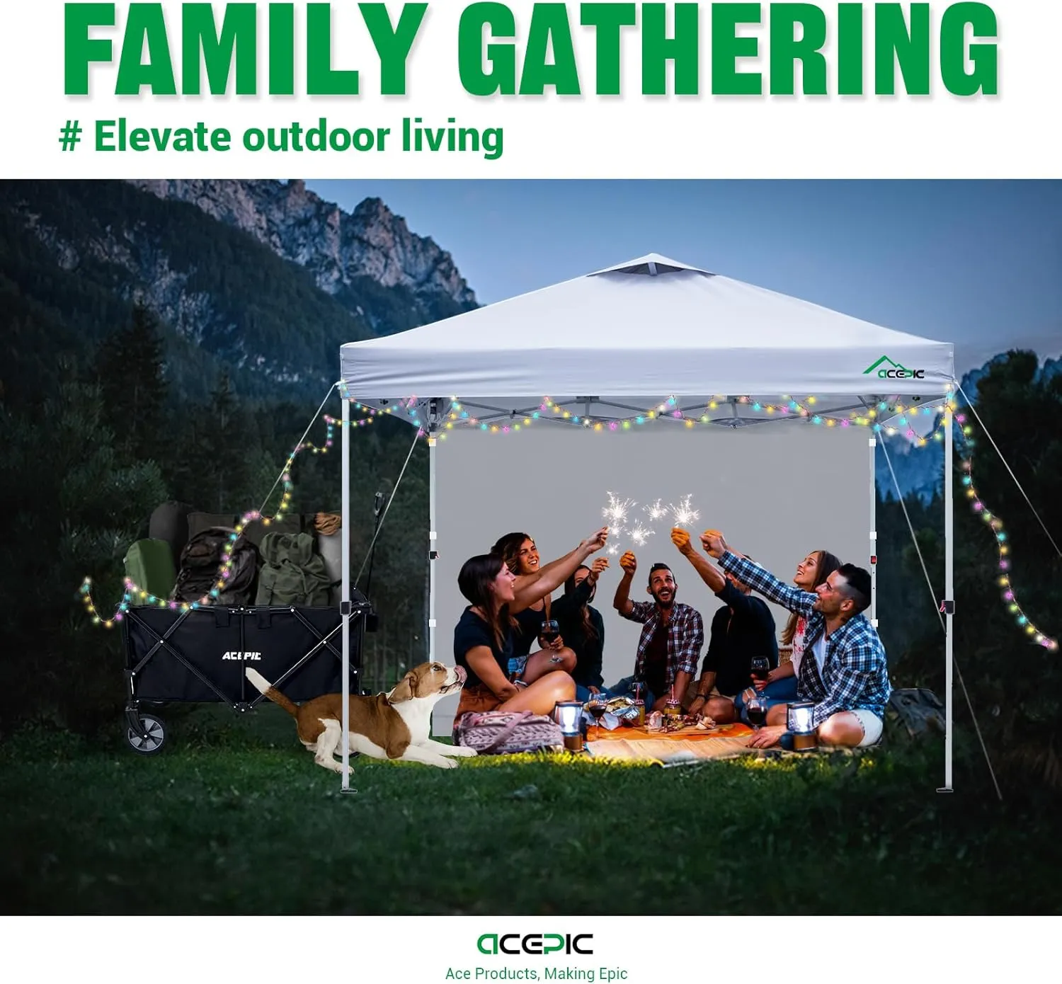 10x10 Pop Up Canopy Tent with Sidewall,300D Silver-Coating Top,Instant Portable Shelter with 1-Button Push and Wheel Carry Bag,8 Stakes and 4 Weights