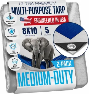 (2 Pack) 8x10 Tarps, Waterproof Plastic Poly 5.5 Mil Thick Tarpaulin with Metal Grommets Every 18 inches - Emergency Rain Shelter, Outdoor Cover and Camping Use - (Reversible, Blue and Silver)