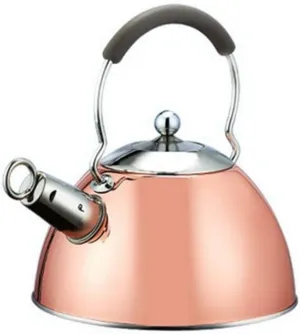 3L Whistle Teapot Rust Stainless Steel Gas Electric Stove Kettle Water Teapot Camping Portable Heating Teapot