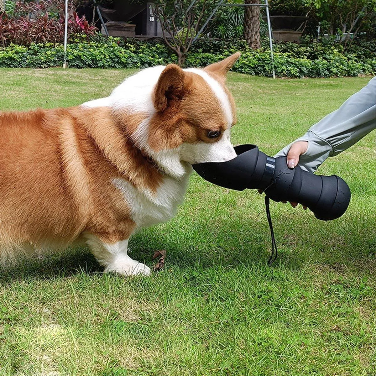 550ml Portable Dog Water Bottle Pet Travel Kettle Foldable Outdoor Drinking Cup