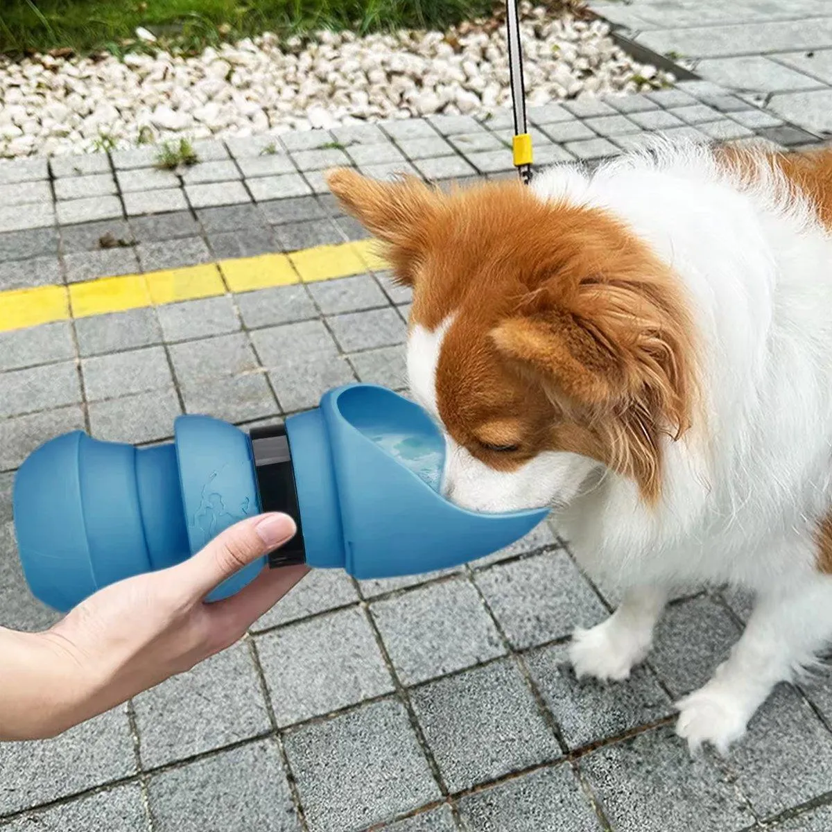 550ml Portable Dog Water Bottle Pet Travel Kettle Foldable Outdoor Drinking Cup