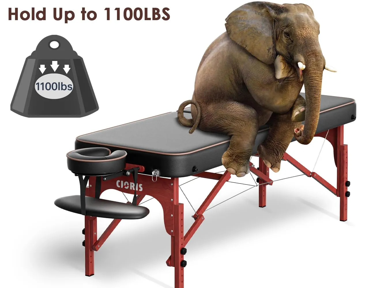 CLORIS 84" Professional Massage Table Portable Reinforced Wooden Leg Hold Up to 1100LBS 2 Folding Lightweight Spa Salon Tattoo Massage Bed Height Adjustable with Carrying Bag - Black
