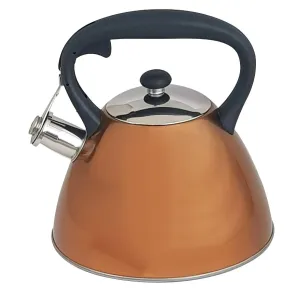 Copper Whistling Kettle Stainless Steel  3.0L Metallic Gas Electric Hobs Voche