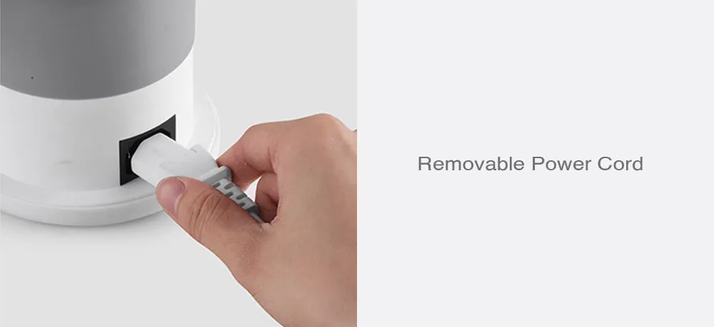 Electric Water Kettle