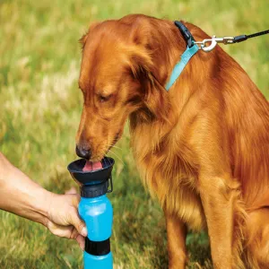 Foldable Anti-spill Water Feeding Bottle