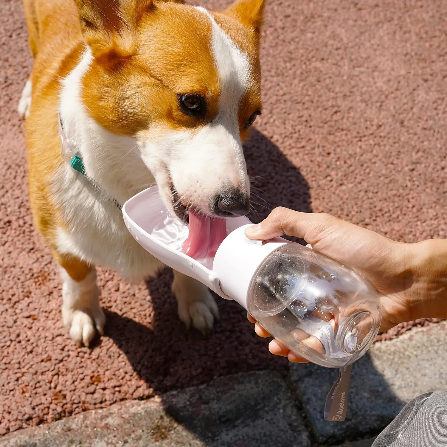 Foldable Dog Water Bottle,Portable Dog Water Dispenser,Outdoor Pet Water Bottle for Dog,Cat,Rabbti,Puppy and other Small Animal for Walking,Hiking,Travel.Dishwasher Safe,Puppy Accessories