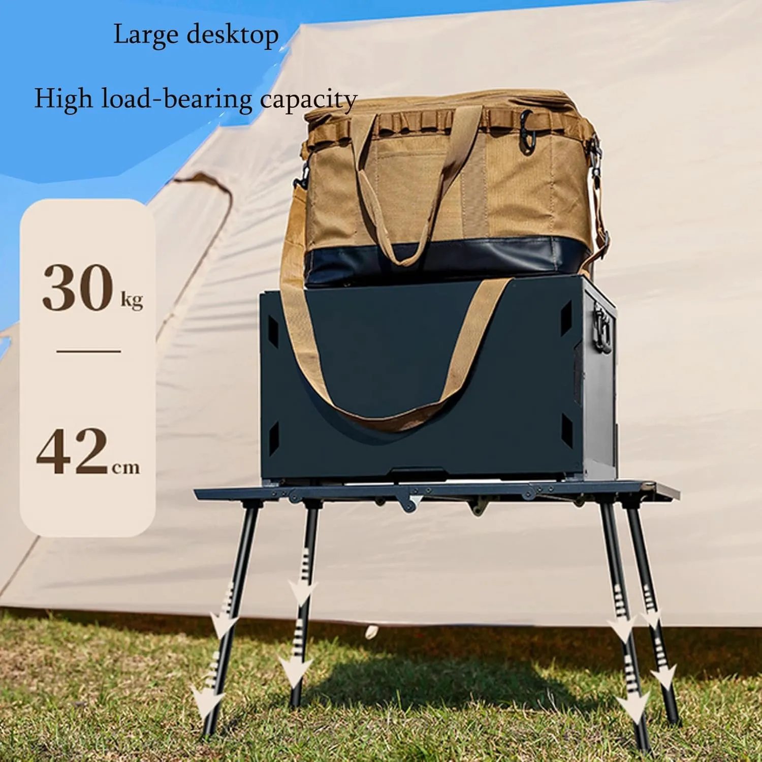 Folding Picnic Table, Lightweight Portable Camping Table with Carry Bag, Roll-Up Aluminum Beach Table, for Outdoor, Travel, BBQ, Natural, one szie, Black