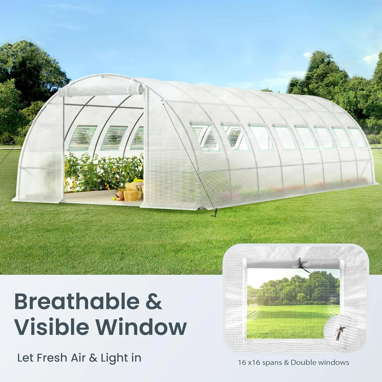 PHI VIILA Upgraded 20'x10'x6.6' Walk-in Greenhouse, Heavy Duty Green House Outside with Galvanized Steel Frame, High Tunnel PE Cover, 2 Zipper Screen Doors, Large Greenhouses for Outdoors (White)