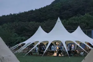 Portable Waterproof Tarp for Outdoor Fun, Multifunctional Canopy for Camping and Events, Spacious 289㎡ Shelter for Family Gatherings