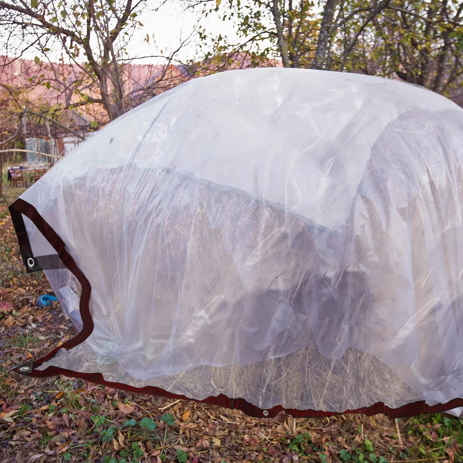 Shappy Clear Waterproof Tarp Heavy Duty Waterproof Tarp with Grommets and Elastic Rope Anti-Aging Insulation PE Cover Tarpaulin for Garden Plant, Outdoor Furniture, Chicken Coop, Patio(20 x 10 Feet)