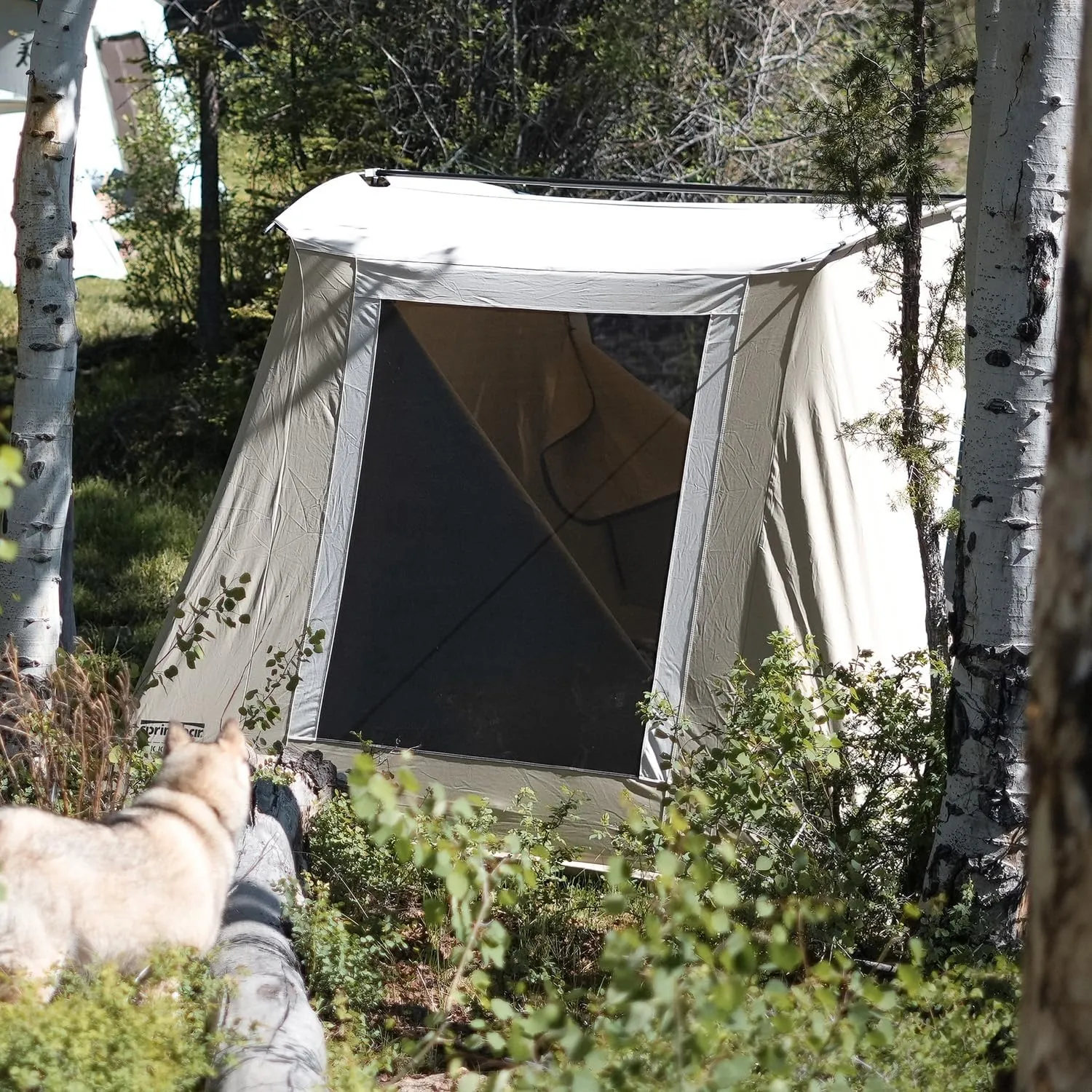 Springbar Classic Jack Watertight Cotton Canvas Tent