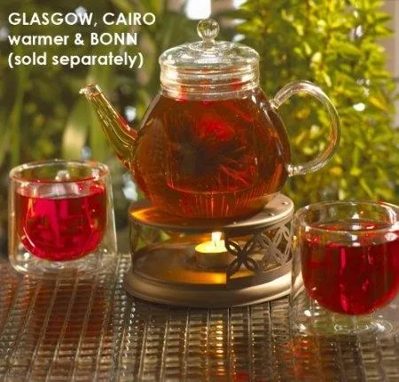 Stovetop Safe Glass Teapot Water Boiler Kettle with Infuser
