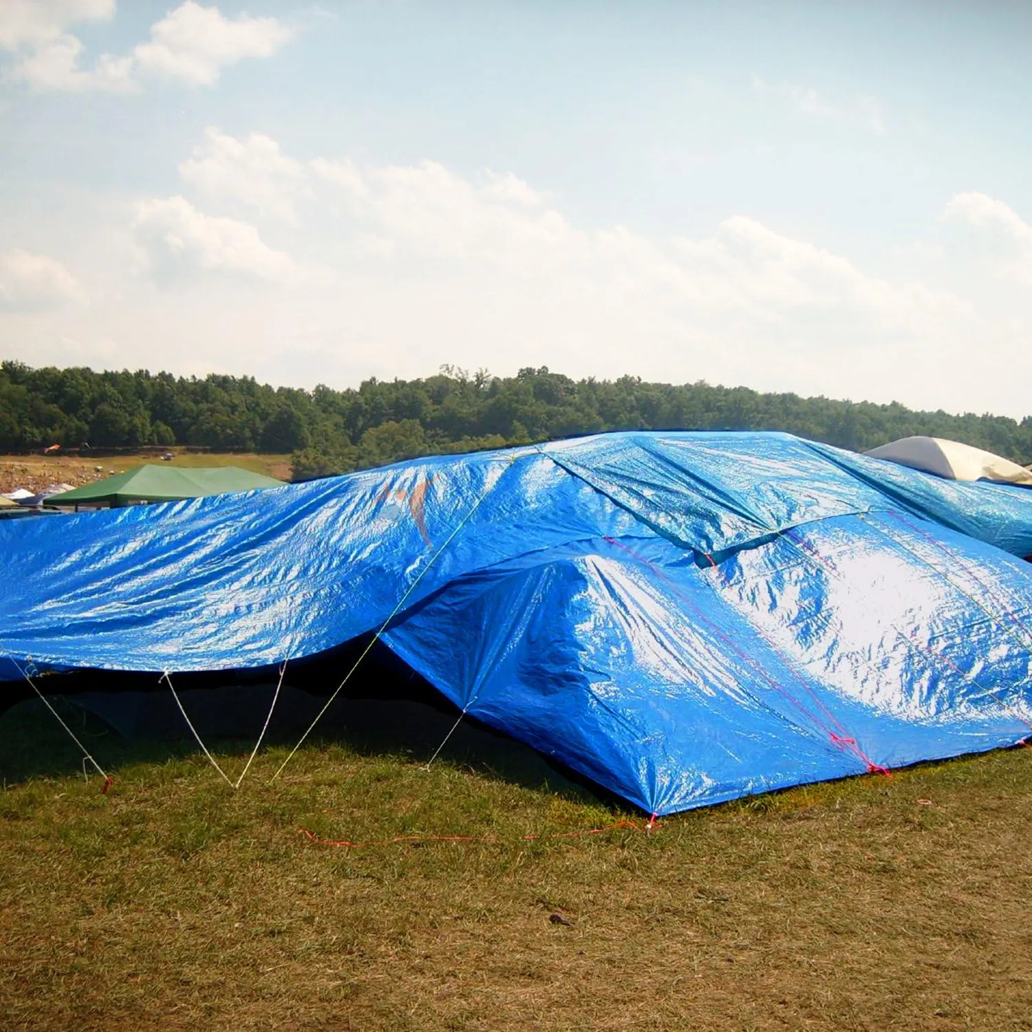 TANG Sunshades Depot Blue 5 Mil 12x16 ' Feet General Multi-Purpose Waterproof Multi Purpose Waterproof Poly Tarp Cover Tent Shelter Boat RV Pool Camping Tarpaulin
