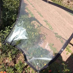 ZHANGQINGXIU Transparent Tarpaulins Waterproof Tarpaulin Rugged Universal 120gsm Car Boat Roof Rain Cover Camping Tent PVC Soft Film, 24 Sizes (Color : Clear, Size : 4x5m)
